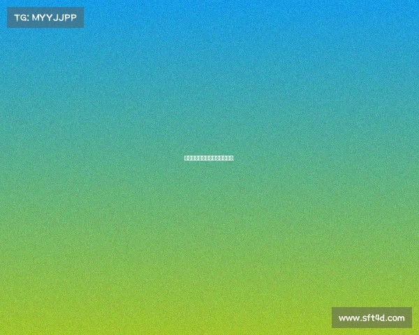 本澤馬世界杯一共進了多少個球. 本澤馬世界杯一共進了多少個球.