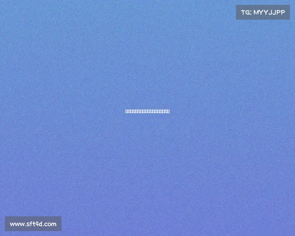 网球赛志愿者：热情服务与精彩赛事共舞