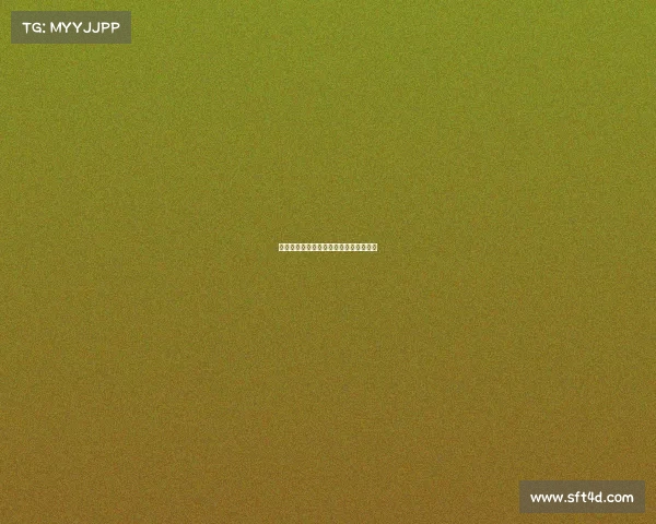 网球赛志愿者:热情服务与精彩赛事共舞